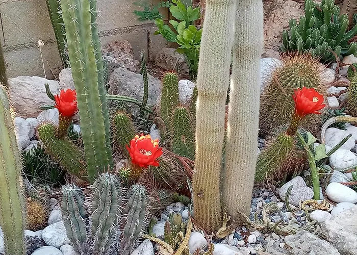 Pensjonat Magic Moon