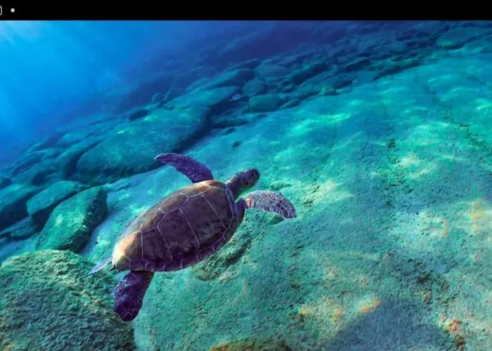 Magic Moon 4* Famagusta (Northern Cyprus)