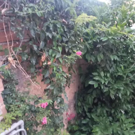 Pensión Magic Moon 4*