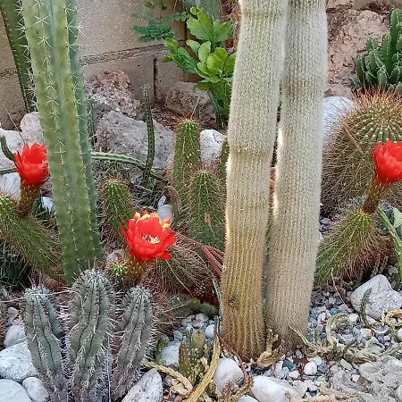 招待所 Magic Moon