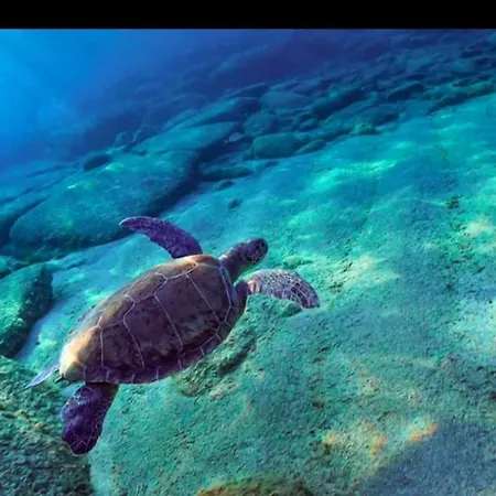 Magic Moon 4* Famagusta (Northern Cyprus)