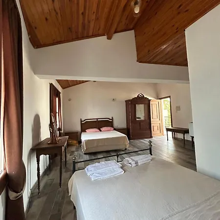 Guest house Magic Moon 3*