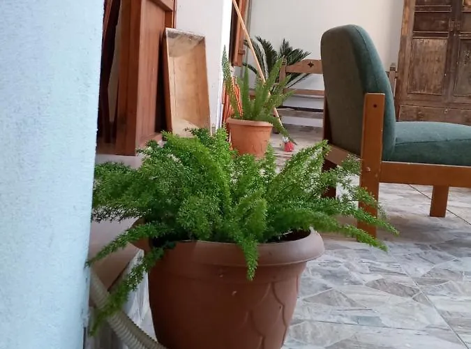 Pensiune Magic Moon 4*