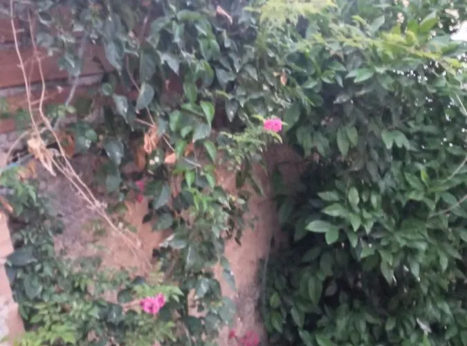 Pensiune Magic Moon 4*