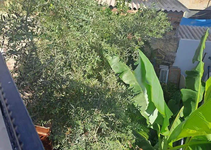 Maison d'hôtes Magic Moon 4*