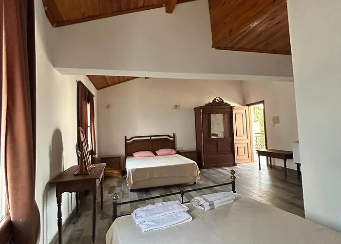 Pensiune Magic Moon 4*