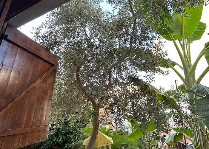 Maison d'hôtes Magic Moon